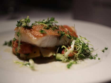 DGPRÄC & VDÄPC (96)